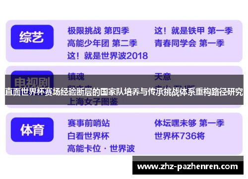 直面世界杯赛场经验断层的国家队培养与传承挑战体系重构路径研究